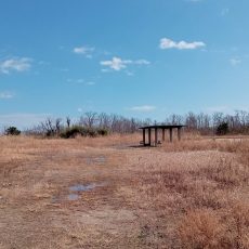 亘理中央地区工業団地広場について・旧大畑浜公園周辺の整備について（令和5年3月定例会一般質問）